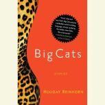 Big Cats Stories, Holiday Reinhorn
