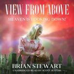 View From Above, Brian Stewart