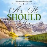 As It Should Be Romantic Drama | Novel, Shawna James