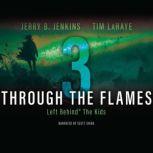 Through the Flames, Jerry B. Jenkins