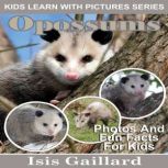 Opossums Photos and Fun Facts for Kids, Isis Gaillard