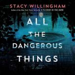 All the Dangerous Things, Stacy Willingham