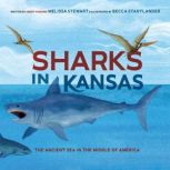 Sharks in Kansas, Melissa Stewart