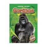 Gorillas, Derek Zobel