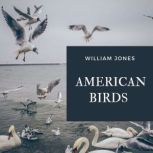 American Birds, Jason Hill