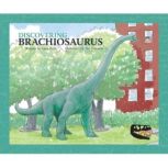 Brachiosaurus, Rena Korbe