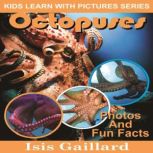 Octopuses Photos and Fun Facts for Kids, Isis Gaillard
