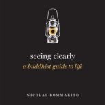 Seeing Clearly, Nicolas Bommarito