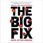 The Big Fix, Tracey Helton Mitchell