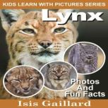 Lynx Photos and Fun Facts for Kids, Isis Gaillard