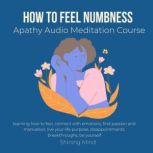 How to feel numbness apathy audio med..., Shining Mind