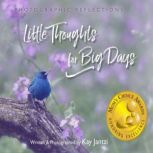 Little Thoughts For Big Days, Kay Jantzi