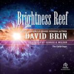 Brightness Reef, David Brin