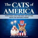 The Cats of America, Seamus Mullarkey