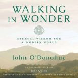 Walking in Wonder, John ODonohue