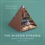 The Wisdom Pyramid, Brett McCracken