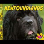 Newfoundlands, Allan Morey