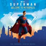 Superman Welcome to Metropolis, David Lewman