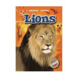 Lions, Derek Zobel
