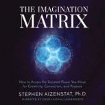The Imagination Matrix, Stephen Aizenstat, PhD