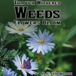 Through Withered Weeds Flowers Bloom, B. E. Thompson