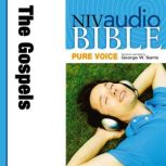 Pure Voice Audio Bible  New Internat..., Zondervan