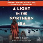 A Light in the Northern Sea, Tim Brady
