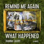 Remind Me Again What Happened, Joanna Luloff