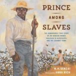 Prince Among Slaves, N. H. Senzai