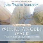 Where Angels Walk 25th Anniversary E..., Joan Wester Anderson