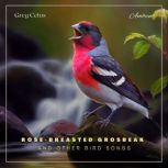Rosebreasted Grosbeak and Other Bird..., Greg Cetus