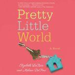 Pretty Little World, Elizabeth LaBan