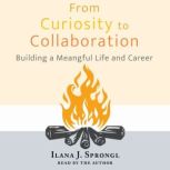From Curiosity to Collaboration, Ilana J. Sprongl