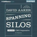 Spanning Silos, David Aaker