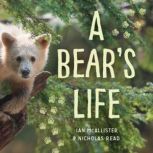 A Bears Life, Ian McAllister