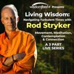 Navigating Turbulant Times with Rod S..., Rod Stryker