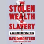 The Stolen Wealth of Slavery, David Montero