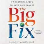 The Big Fix Seven Practical Steps to Save our Planet, Hal Harvey