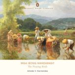 The Preying Birds, Amado V.  Hernandez