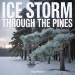 Ice Storm Through the Pines, Sleep Master