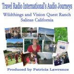 Wildthings and Vision Quest Ranch, Patricia L. Lawrence