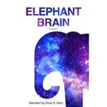 Elephant Brain, Amar Abro