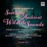 Natures Symphony of Soothing Ambient..., Cedar Skye