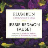 Plum Bun, Jessie Redmon Fauset