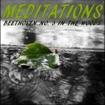 Meditations  Beethoven No. 3 in the ..., LowApps Studios