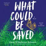 What Could Be Saved, Liese OHalloran Schwarz