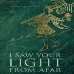 I Saw Your Light from Afar, Claudio Mazzucco