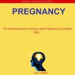 Pregnancy:  The Ultimate Guide to Having a Safe Pregnancy and Healthy Baby, Jay Lorin