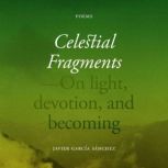 Celestial Fragments, Javier Garcia Sanchez