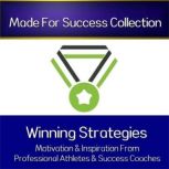 Winning Strategies of High Achievers, Made for Success